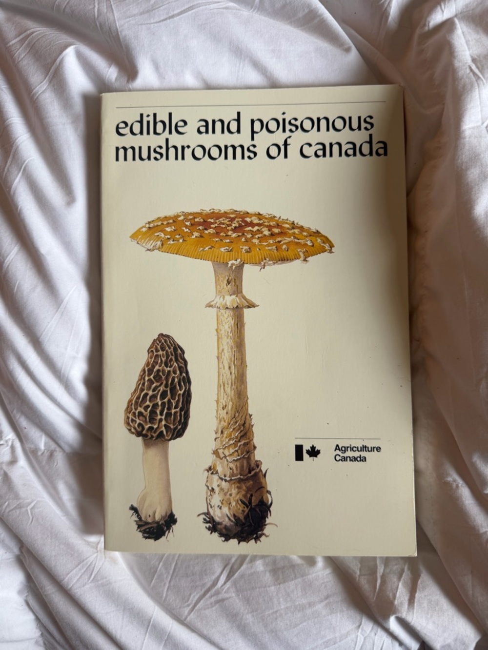 Edible and Poisonous Mushrooms of Canada - Illustrated Guide